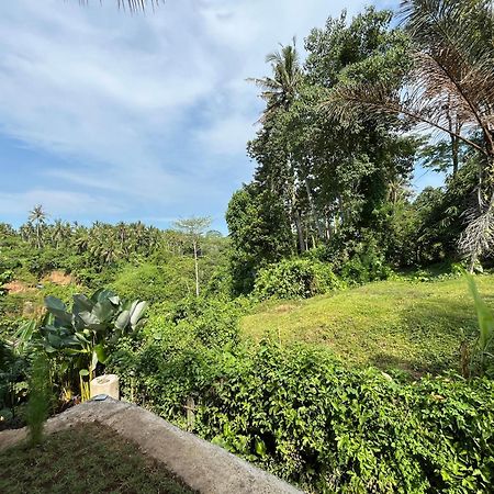 D'Nanda Villa Ubud Exterior foto