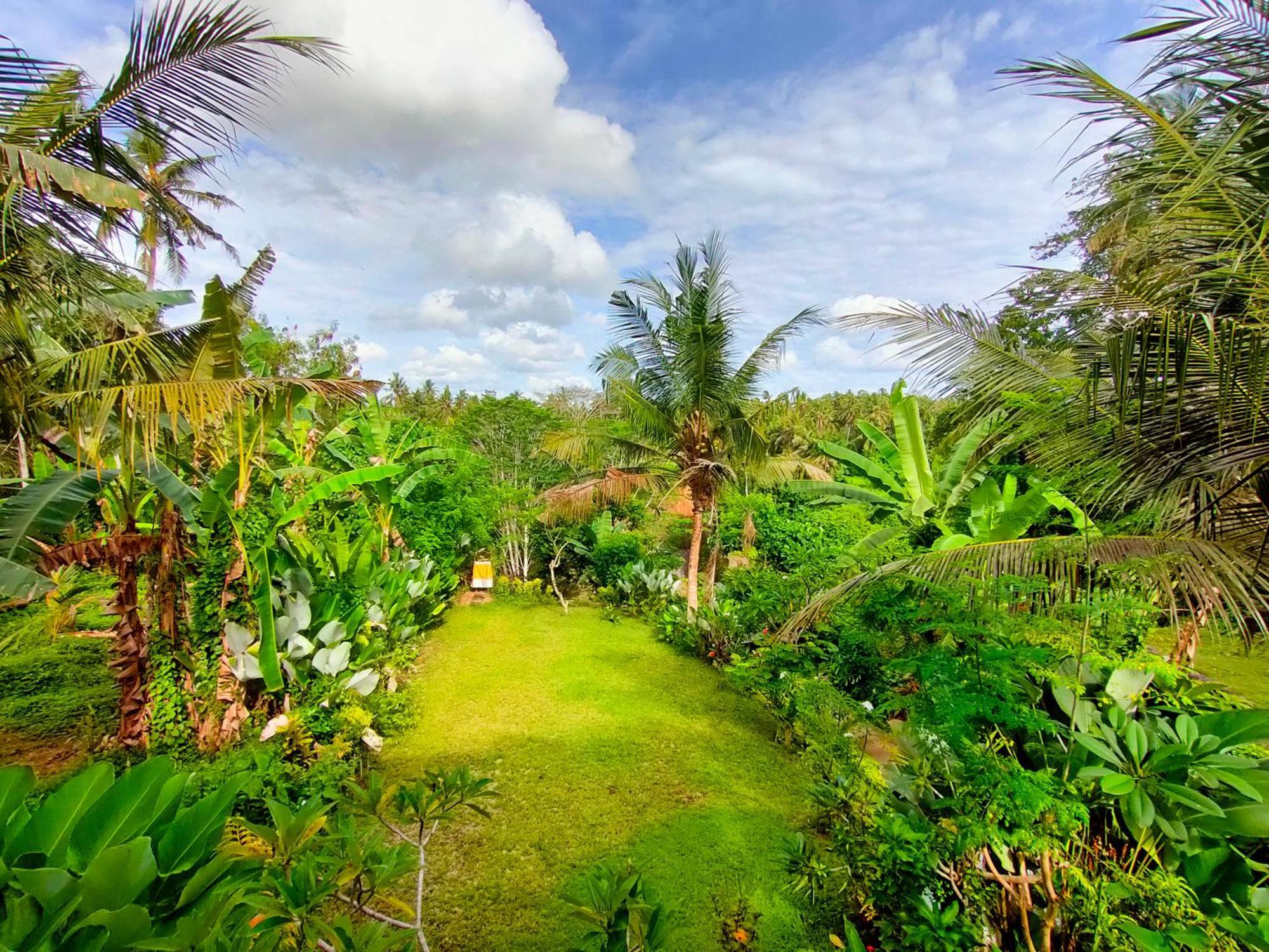 D'Nanda Villa Ubud Exterior foto