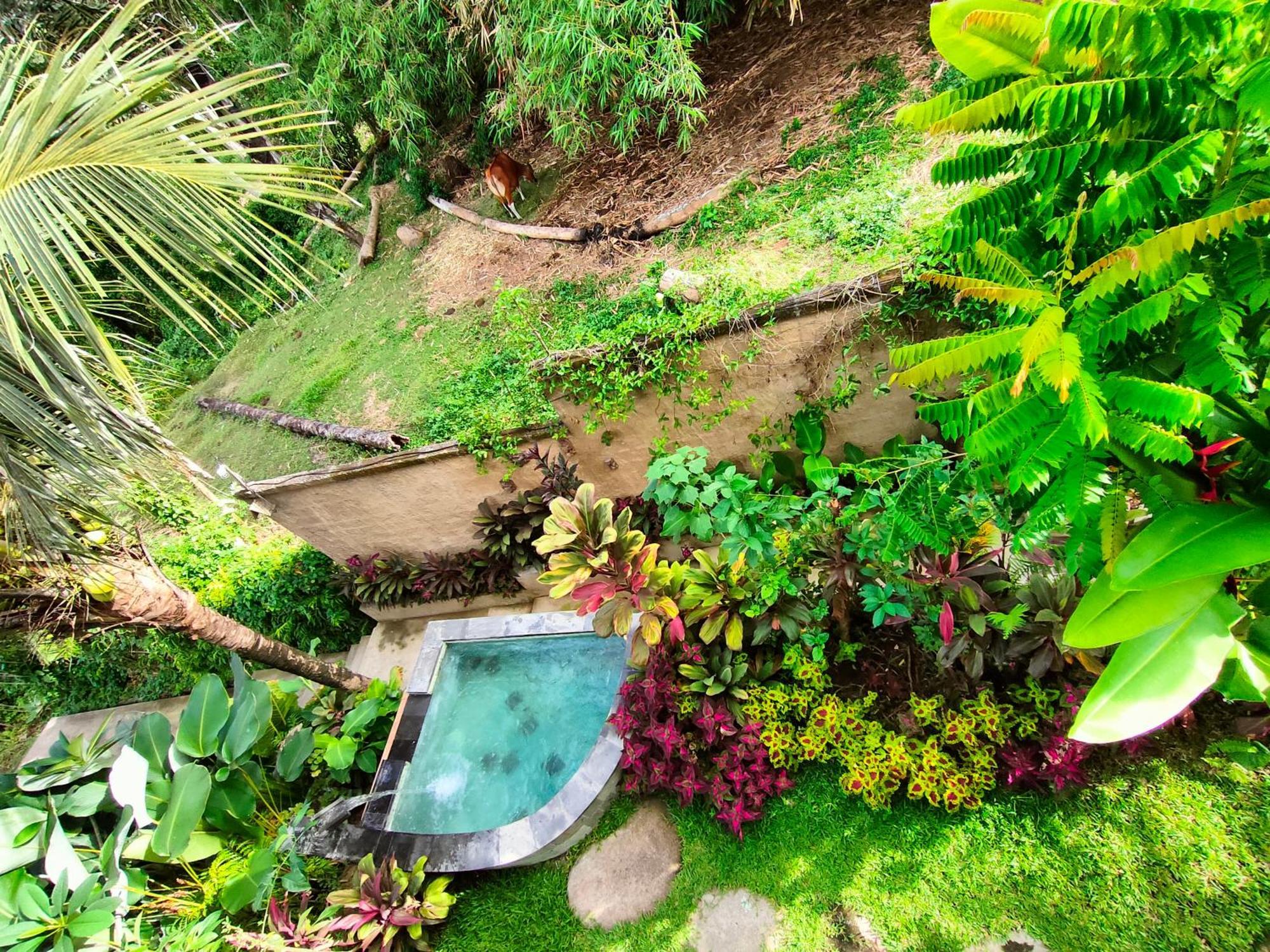 D'Nanda Villa Ubud Exterior foto