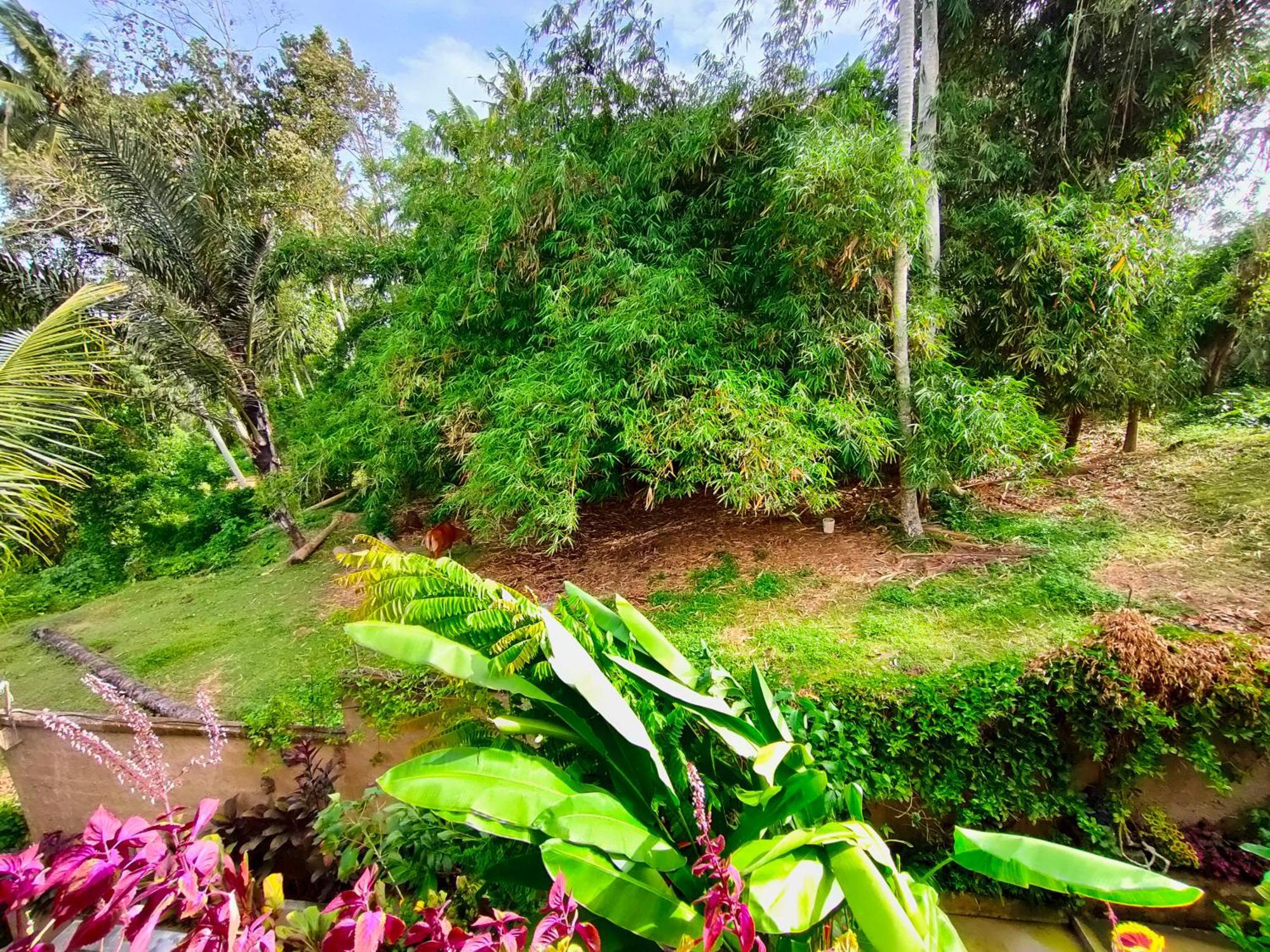 D'Nanda Villa Ubud Quarto foto