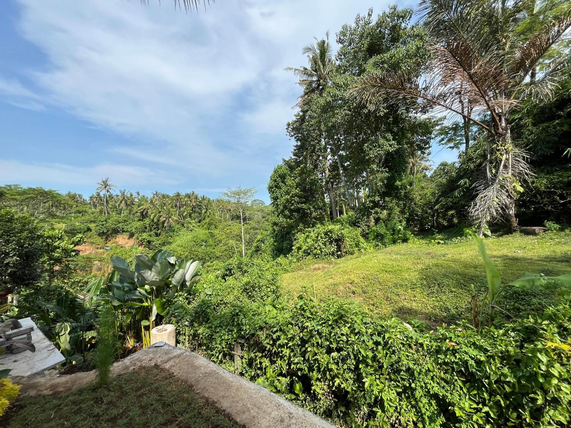 D'Nanda Villa Ubud Exterior foto